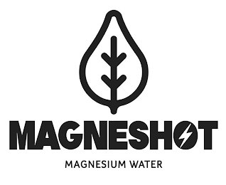 MAGNESHOT MAGNESIUM WATER