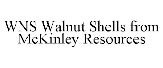 WNS WALNUT SHELLS FROM MCKINLEY RESOURCES