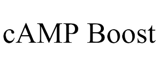 CAMP BOOST