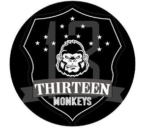 THIRTEEN MONKEYS 13