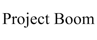 PROJECT BOOM