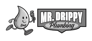 MR. DRIPPY PLUMBING