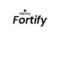 HEIVY FORTIFY