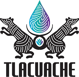 TLACUACHE