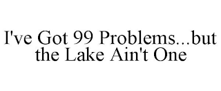 I'VE GOT 99 PROBLEMS...BUT THE LAKE AIN'T ONE