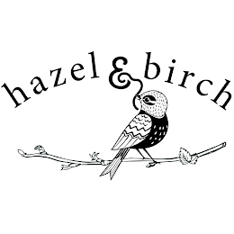 HAZEL & BIRCH