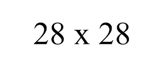 28 X 28