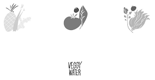 VEGGY WATER