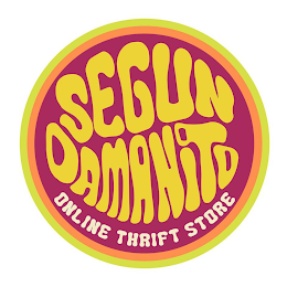 SEGUN DAMANITO ONLINE THRIFT STORE