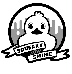 SQUEAKY SHINE