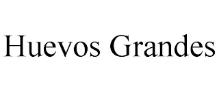 HUEVOS GRANDES