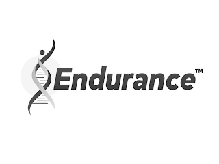 ENDURANCE