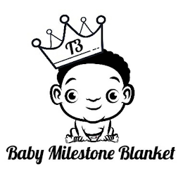 T3 BABY MILESTONE BLANKET