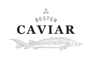 BESTER CAVIAR