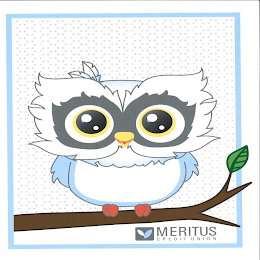 MERITUS CREDIT UNION