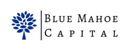 Blue Mahoe Capital Partners, Inc.