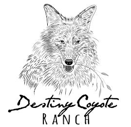 DESTINY COYOTE RANCH