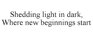 SHEDDING LIGHT IN DARK, WHERE NEW BEGINNINGS START.