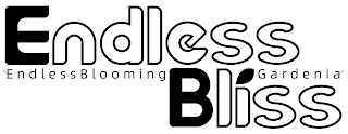 ENDLESS BLISS ENDLESS BLOOMING GARDENIA