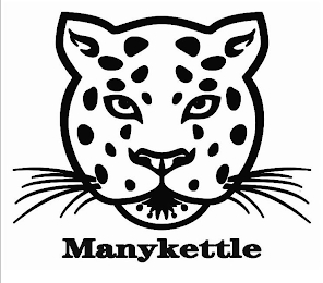 MANYKETTLE