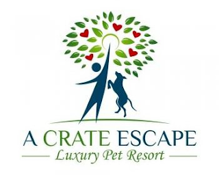 A CRATE ESCAPE LUXURY PET RESORT