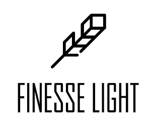 FINESSE LIGHT