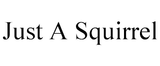 JUST A SQUIRREL