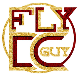 FLYGUYDC