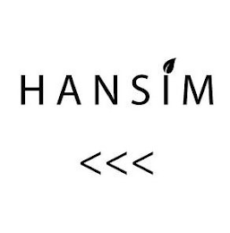 HANSIM