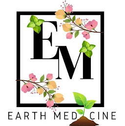 EM EARTH MEDICINE