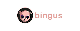 BINGUS