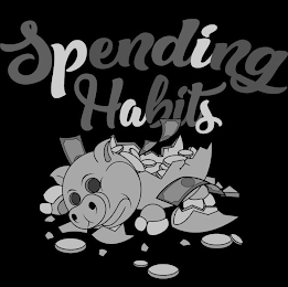 SPENDING HABITS