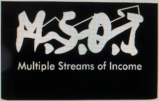 M.S.O.I. MULTIPLE STREAMS OF INCOME