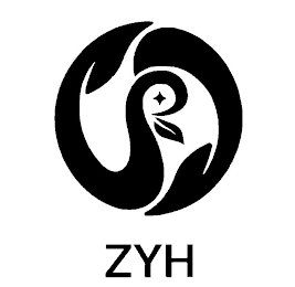 ZYH