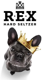 R.E.X. HARD SELTZER