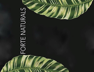 FORTE NATURALS