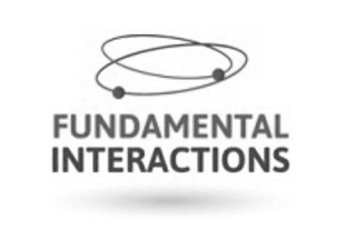 FUNDAMENTAL INTERACTIONS