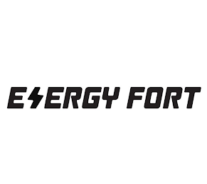 ENERGY FORT