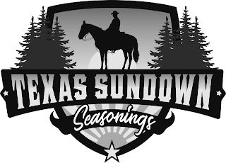 TEXAS SUNDOWN SEASONINGS