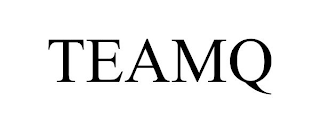 TEAMQ