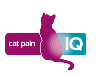 CAT PAIN IQ