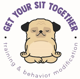 GET YOUR SIT TOGETHER ·TRAINING & BEHAVIOR MODIFICATION·