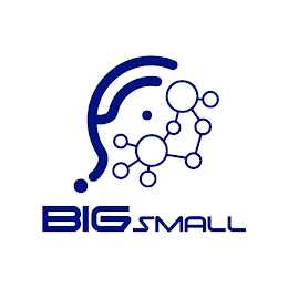 BIGSMALL