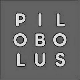 PILOBOLUS