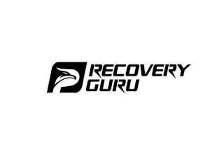 RECOVERY GURU