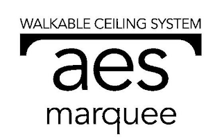 AES MARQUEE WALKABLE CEILING SYSTEM