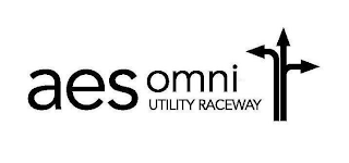 AES OMNI UTILITY RACEWAY