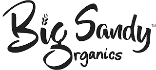 BIG SANDY ORGANICS
