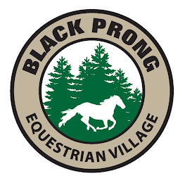 BLACK PRONG EQUESTRIAN VILLAGE