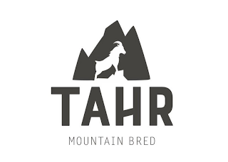 TAHR MOUNTAIN BRED